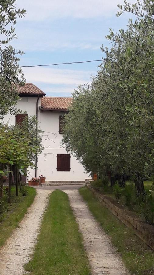 Casa Tra Gli Olivi Apartment Bardolino Exterior photo